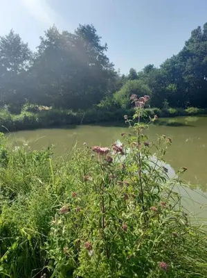Paysage naturel près de le camping