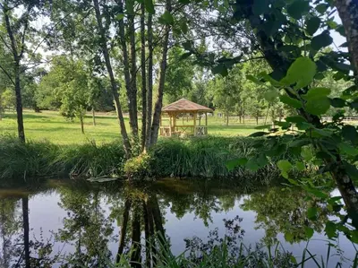 Paysage naturel près de le camping
