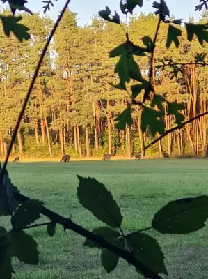 Paysage naturel près de la maison de vacances
