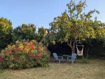 Jardin de l'établissement Studio Volta Garden proche du tram