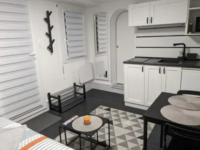Cuisine ou kitchenette dans l'établissement Studio Volta Garden proche du tram