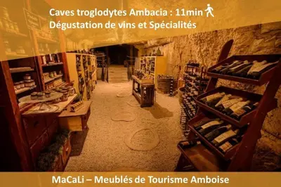 Bibliothèque dans l'appartement
