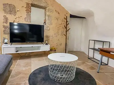 Télévision ou salle de divertissement dans l'établissement Troglodyte d’exception au cœur de Blois