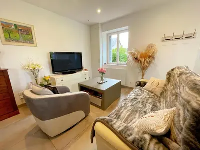 Télévision ou salle de divertissement dans l'établissement Gîte tout confort avec terrasse spacieuse, jardin clos et équipements modernes, à 45 mn du Mans - FR-1-381-557