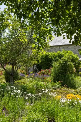 Jardin de l'établissement Chateau De Grazay