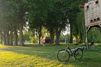 Jardin de l'établissement *Gîte Aux Grappes du Pressoir* à 2 km de Beauval