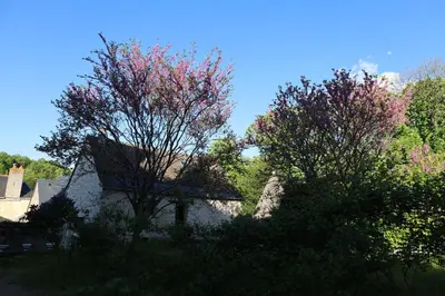 Jardin de l'établissement Castel Saint Laurent