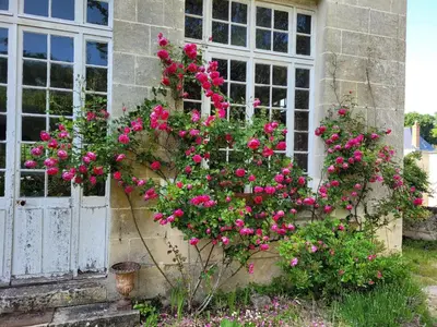 Jardin de l'établissement Castel Saint Laurent
