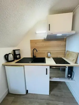 Cuisine ou kitchenette dans l'établissement Le Studio - Rive droite - Wifi