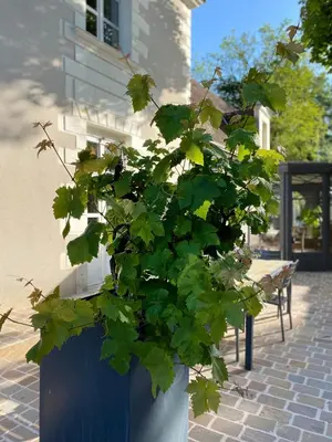 Jardin de l'établissement La Marmittiere