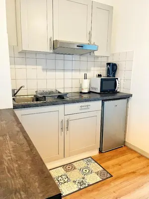 Cuisine ou kitchenette dans l'établissement STUDIO COSY Gare & centre-ville