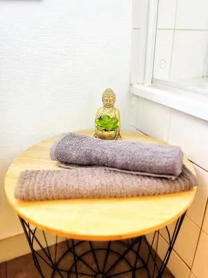 Plan de l'établissement STUDIO COSY Gare & centre-ville