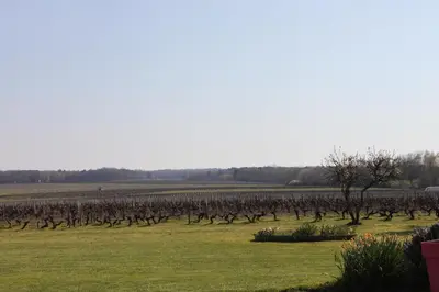 Paysage naturel près de le B&B/chambre d'hôtes