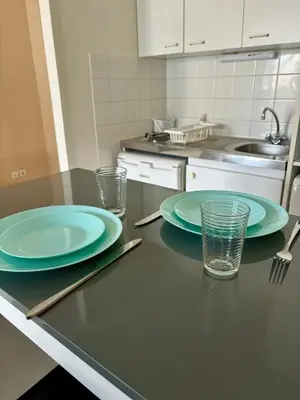Cuisine ou kitchenette dans l'établissement Charmant studio tours nord