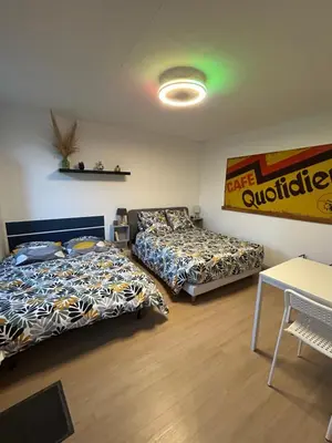 Un ou plusieurs lits dans un hébergement de l'établissement Studio proche Beauval et Châteaux de la Loire
