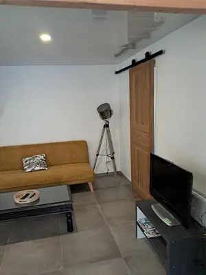 Télévision ou salle de divertissement dans l'établissement LOFT #5 Angers Loire