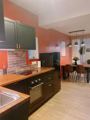 Cuisine ou kitchenette dans l'établissement Lisloft Appartement à 5 Min du ZooParc de Beauval, Centre ville Saint-Aignan