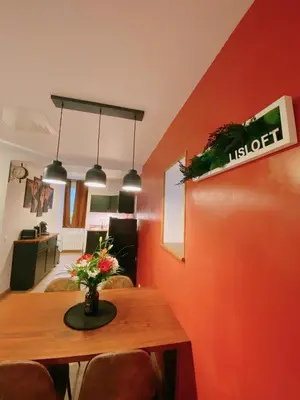 Cuisine ou kitchenette dans l'établissement Lisloft Appartement à 5 Min du ZooParc de Beauval, Centre ville Saint-Aignan