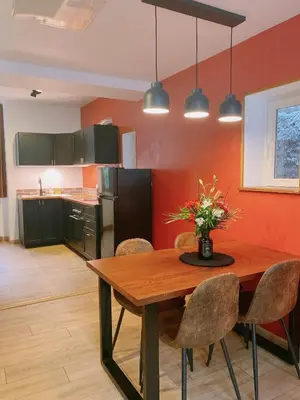 Cuisine ou kitchenette dans l'établissement Lisloft Appartement à 5 Min du ZooParc de Beauval, Centre ville Saint-Aignan
