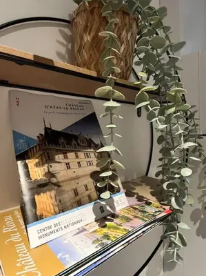 Plan de l'établissement Au pied du château