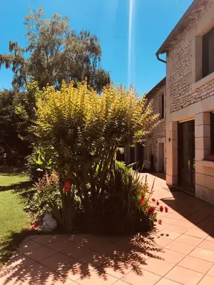 Jardin de l'établissement Gîte Au Boom Coeur - forfait SPA inclus
