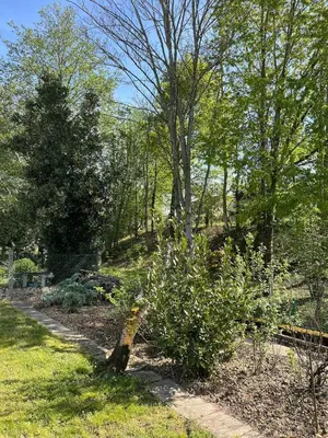 Jardin de l'établissement Spacieuse maison de village