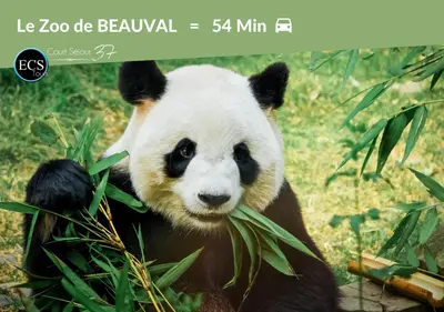 Animaux dans l'appartement ou à proximité
