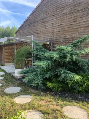 Jardin de l'établissement STUDIO