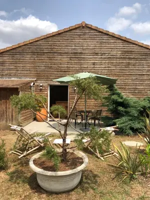 Jardin de l'établissement STUDIO