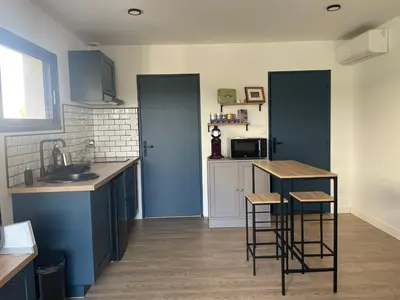 Cuisine ou kitchenette dans l'établissement Studio indépendant