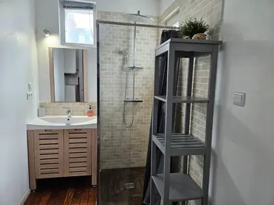 Salle de bains dans l'établissement ARAGO1 - Appartement Tours centre sur jardin