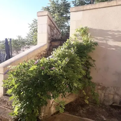 Jardin de l'établissement Maison atypique semi-troglodyte