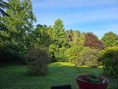 Jardin de l'établissement Les chambres d'Estelle