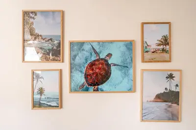 Plan de l'établissement Tropical & cosy - Vieux Tours