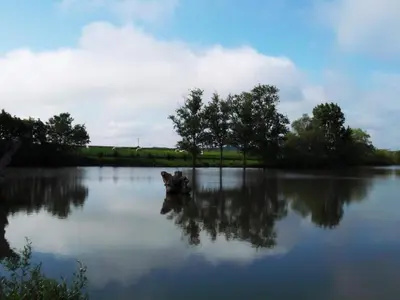 Vue sur la rivière ou le fleuve situé(e) à proximité de la maison de vacances