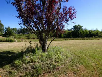 Jardin de l'établissement Gîte rustique à Cheverny: nature, tennis, animaux bienvenus, pêche et châteaux de la Loire à proximité - FR-1-491-366