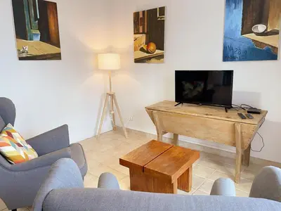 Télévision ou salle de divertissement dans l'établissement Gîte confort pour 2 avec jardin privatif près des châteaux et du Zooparc de Beauval - FR-1-491-368