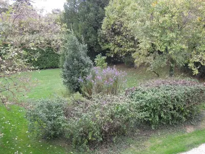 Jardin de l'établissement Gîte charmant avec cheminée et jardin à Danzé - FR-1-491-399