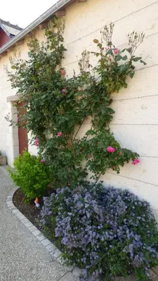 Jardin de l'établissement Maison d'hôtes proche Chenonceau