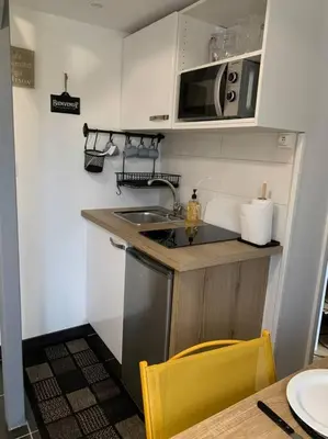Cuisine ou kitchenette dans l'établissement Joli studio mezzanine proche pôle européen et circuit