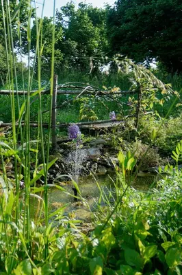 Jardin de l'établissement La Bicyclette - Chambres d'hôtes