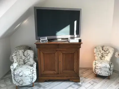 Télévision ou salle de divertissement dans l'établissement Les Jardins d Isaac rue de la Musardière