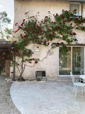 Jardin de l'établissement Maison chaleureuse