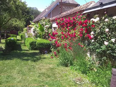 Jardin de l'établissement Maison d'hôtes