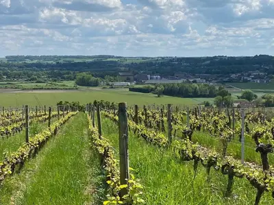 Paysage naturel près de la maison de vacances
