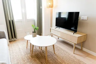 Télévision ou salle de divertissement dans l'établissement L'élégant - Beau logement avec vue Sarthe - Gare - Tram - Centre ville