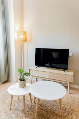 Télévision ou salle de divertissement dans l'établissement L'élégant - Beau logement avec vue Sarthe - Gare - Tram - Centre ville