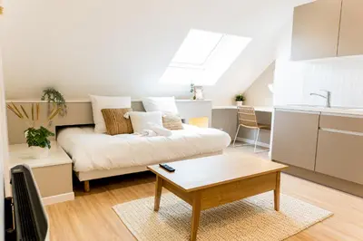 Cuisine ou kitchenette dans l'établissement Le Zen - Superbe logement - Centre - Tram - Gare