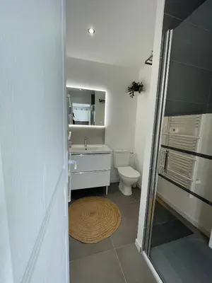 Salle de bains dans l'établissement Le beau studio du bord de l'eau