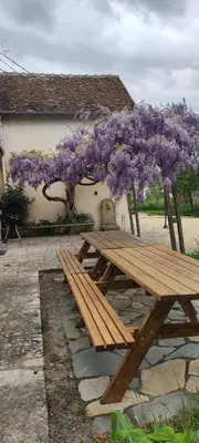Jardin de l'établissement Gites de la Bénardière